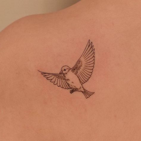 Line Bird Tattoo, Fine Line Bird Tattoo, Tattoo On The Shoulder, Mockingbird Tattoo, Finch Tattoo, Line Animals, Robin Bird Tattoos, Jasmine Tattoo, Robin Tattoo