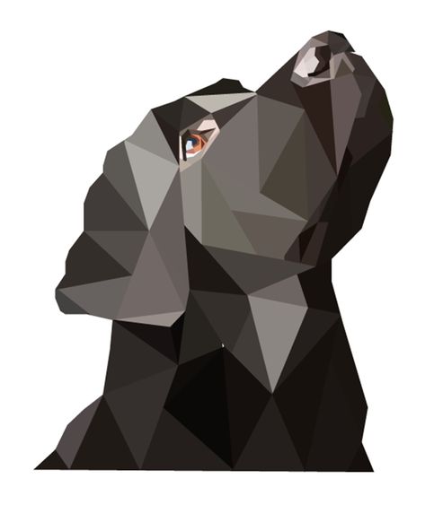 Labrador Art, Poly Art, Polygon Art, Dog Quilts, Low Poly Art, Animal Quilts, Geometric Animals, Wow Art, Black Labrador