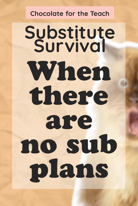 A shocked cat with the title “Substitute Survival: When there are no sub plans” Activities For Substitute Teachers, Substitute Teacher Lesson Plans, Substitute Teacher Tips, Subbing Ideas, Substitute Ideas, Substitute Teacher Plans, Substitute Teaching, Class Games, Teacher Toolbox