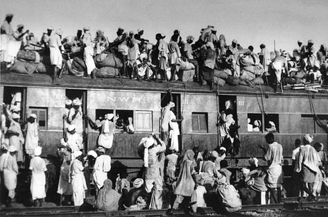 7 Books About the Partition of India and Pakistan - Electric Literature Partition Of Bengal, Gandhi Photos, 1947 India, Partition Of India, भारतीय इतिहास, Royal Animals, Human Migration, History Of Pakistan, Jawaharlal Nehru