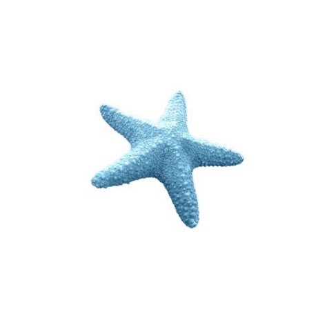 Ocean Iphone, Fish Icon, Blue Starfish, Beach Icon, Scrapbook Printing, Blue Aesthetic Pastel, Summer Icon, Themes App, Phone Inspiration