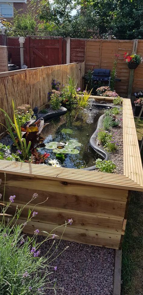 Garden Bed Water Feature, Garden Design With Pond, Raised Water Features In The Garden, Garden Ground Ideas, Raised Bed Pond, Above Ground Turtle Pond, Flower Bed Pond Ideas, Raised Bed Water Feature, Raised Garden Flower Beds Ideas