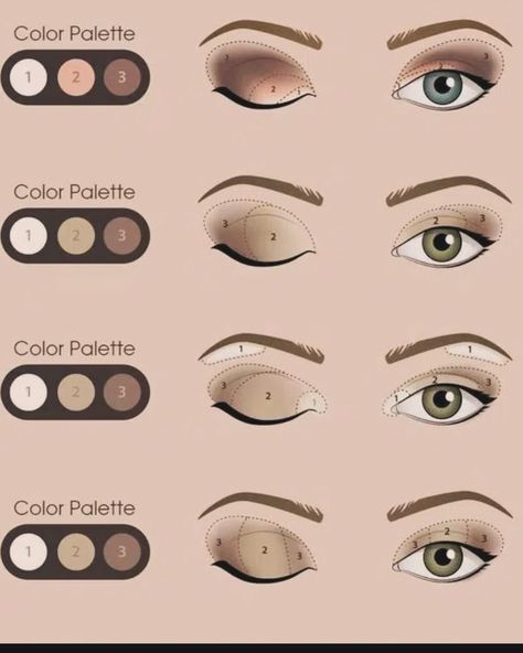 How to Apply Eyeshadow… Correct eye shadow application isn’t difficult, it’s just practised technique. So many of us still get it wrong. This handy graphic helps illustrate different ways of how to apply #eyemakeup #eyeshadow #eyeshadowtutorial #eyeshadowlooks #eyeshadowtechniques Eye Shadow Diagram, Eye Shadow Map, Eye Shadow Shapes, Eye Shadow Ideas For Blue Eyes, Eye Shadow Application Chart, Eye Shadow Guide, How To Eye Shadow, Eyeshadow Layout, Eyeshadow Mapping