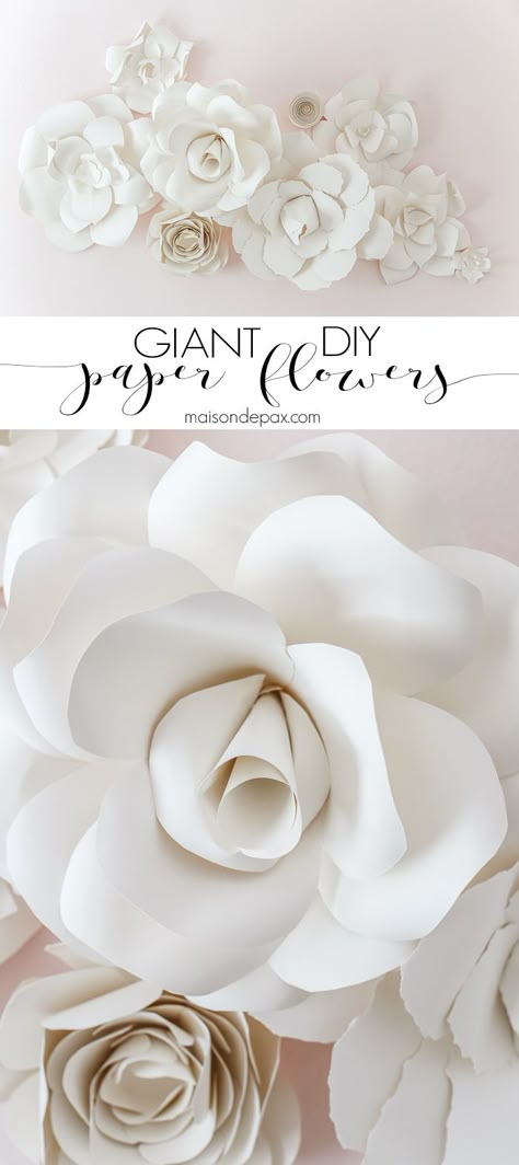 DIY Paper Flowers: Incredible! Learn how to make these gorgeous, elegant, giant paper flowers with this step by step tutorial. Samaria Leah, Construction Paper Flowers, Giant Paper Flower Tutorial, Giant Paper Flowers Diy, White Paper Flowers, Diy Fleur, Diy Paper Flowers, Lounge Outfits, Diy Flores