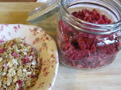 Dehydrated Rhubarb Candy, Dehydrated Rhubarb, Dried Rhubarb, Recipes For Rhubarb, Ginger Carrots, Dried Watermelon, Survival Recipes, Rhubarb Rhubarb, Dehydrating Recipes