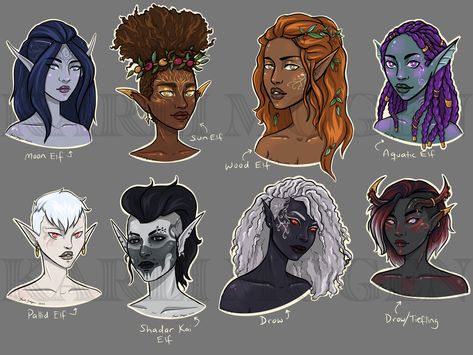 Elf Races, Pallid Elf, Elf Types, Sun Elf, Sea Elf, Shadar Kai, Fantasy Elf, Moon Elf, Dnd Elves