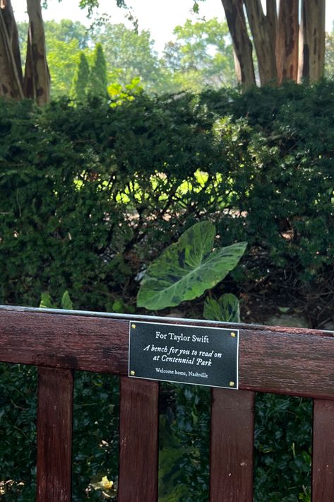 Folklore Songs, Invisible String, Centennial Park, Taylors Version, Taylor Swift Fan, The Grass, Park Bench, Green Colors, Nashville