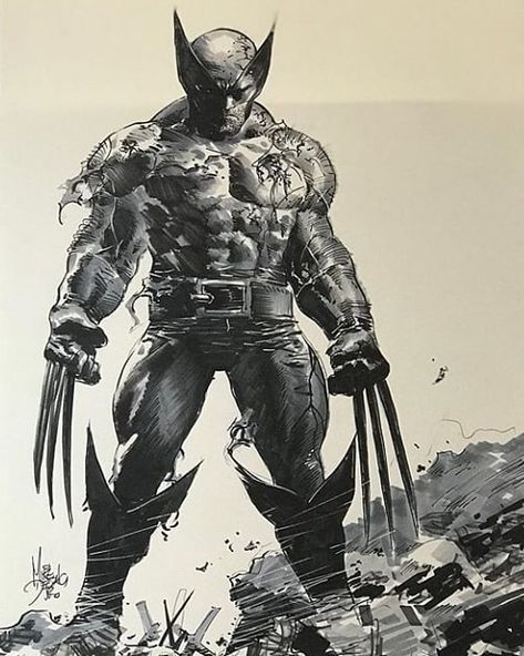 Wolverine Artwork, Xmen Art, Wolverine Comic, Love Comic, Mike Deodato, Wolverine Art, Western Comics, Jr Art, The Wolverine