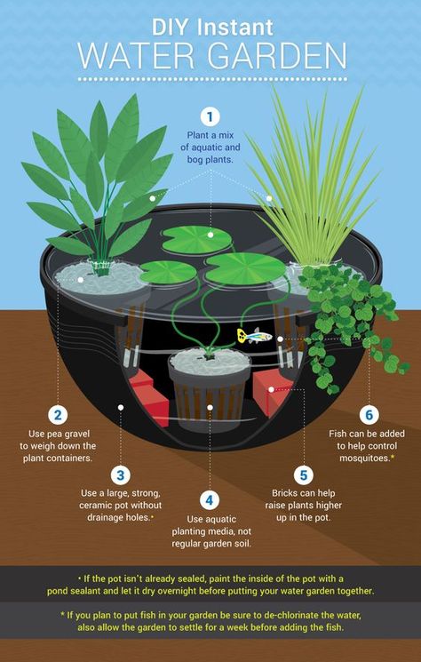 indoor water gardens Patio Container Garden, Water Feature Garden, Landscape Fountain, Project Design Ideas, Indoor Gardening Supplies, Container Crafts, Diy Garden Landscaping, Patio Container Gardening, Mini Pond