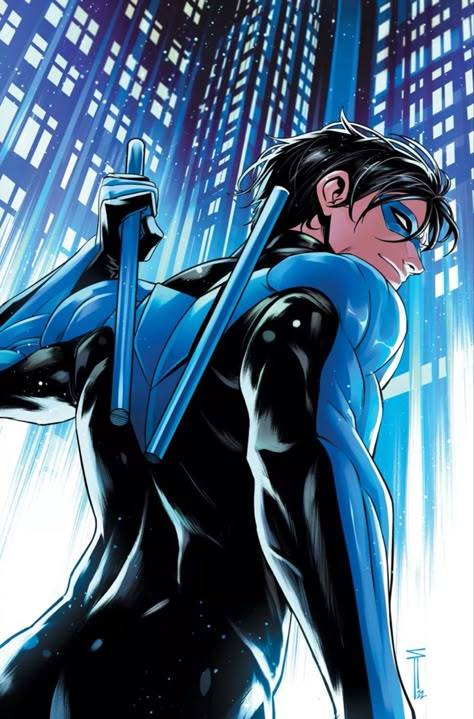 Nightwing Art, Nightwing Wallpaper, Univers Dc, Arte Dc Comics, Dc Comics Artwork, Batman Family, Batman Comics, Dc Comics Art, Nightwing