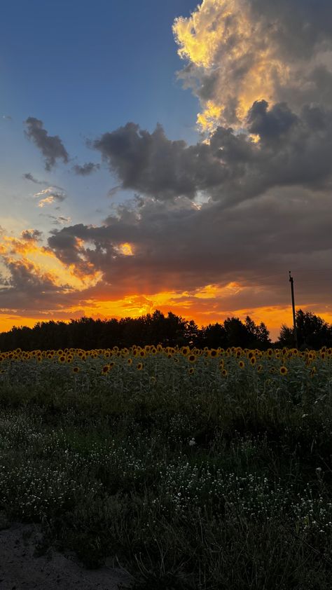 Sky, nature Cute Pics Of The Sky, Senery Pic Landscape, Pretty Pictures Of The Sky, Real Sky Pics, Sky Asthetics Photos, Pretty Sky Pictures, Sky Dump, Pics Of The Sky, Pictures Of Sunsets