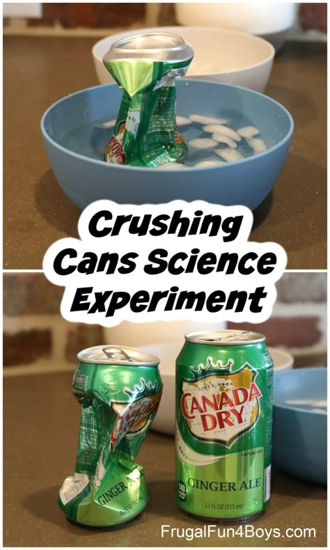 Science Camp, Summer Science, Science Experiments For Preschoolers, Kid Science, Science Experiments For Kids, Experiments Kids, Kid Experiments, Science Crafts, Easy Science Experiments