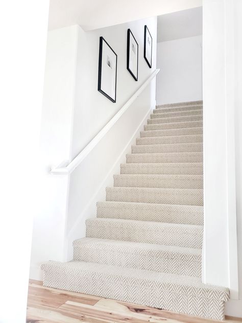 Carpet Diy, Carpet Staircase, Stanton Carpet, Basement Carpet, Entry Stairs, Basement Stairs, Style Carpet, Best Carpet, Stair Runner Carpet