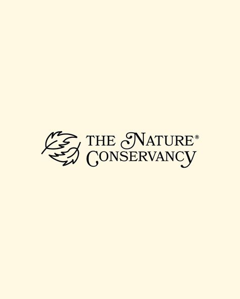 THE NATURE CONSERVANCY Going to start posting some of my nonprofit redesigns as static posts, starting with @nature_org Logo design, photography style, and merch concepts, swipe for the original logo 🤭 - #branding #redesign #logodesign #merchdesign #graphicdesign #ecodesign #designbywomen #designbyallyssa Nonprofit Logo Design Inspiration, Nonprofit Logo Design, Nonprofit Branding, Nonprofit Logo, Logo Exploration, Logo Design Photography, Campaign Logo, Natural Branding, Nature Conservation