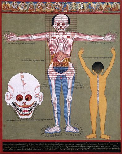 images of impermanence | dockedship | Flickr Medical Drawings, 17th Century Art, Thangka Painting, Tibetan Art, Tibetan Buddhism, Medical Illustration, Buddhist Art, Weird Art, Tibet