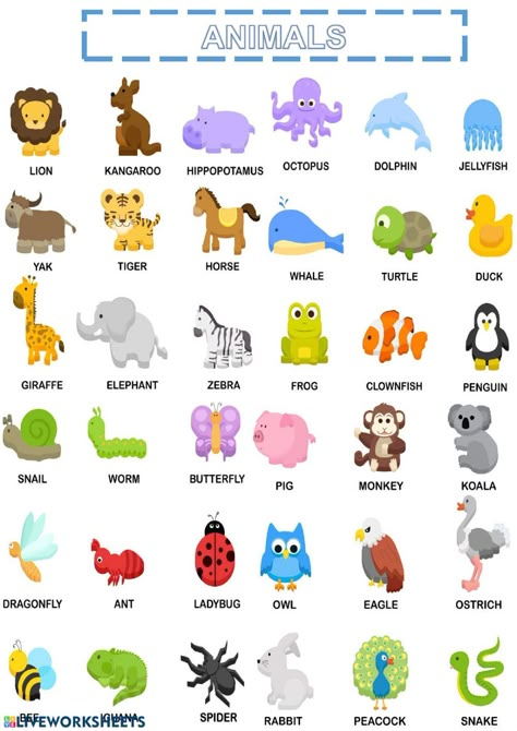 Different Types Of Animals Worksheet, Animals Chart Free Printable, Land Animals Chart, Types Of Animals Chart, Animal Chart For Kids, Animals For Kids Teaching, Animals Pictures For Kids, Animal Worksheets For Kids, Animals Worksheets For Kids