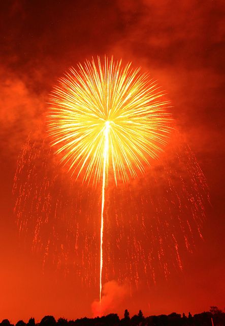 Firework Display by Spice ♥ Darling, via Flickr  Looks like a giant Dandelion : ) Light Branding, Photowall Ideas, Red Lights, Autumn Illustration, Block Colour, Jaune Orange, Orange You Glad, Fireworks Display, Orange Aesthetic