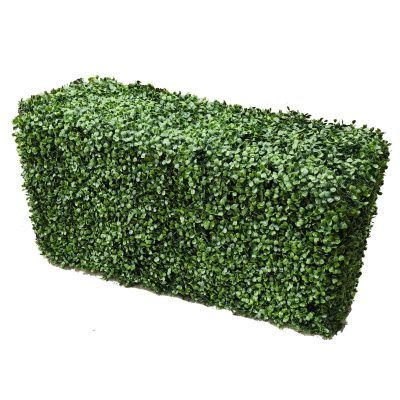 Hedge Wall, Artificial Hedges, Boxwood Hedge, Backyard Garden Layout, Artificial Boxwood, Cozy Cafe, Garden Layout, Outdoor Settings, Artificial Plants