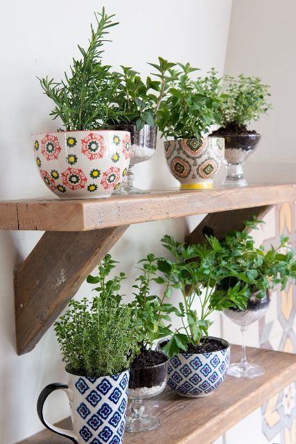 Use cocktail glasses and mugs for a stylish way to grow your herbs! #HomeGoodsHappy Balkon Decor, Kitchen Herbs, Indoor Gardens, Indoor Herb Garden, Herbs Indoors, Growing Herbs, Indoor Gardening, Planting Herbs, Hanging Plants