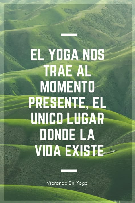 Yoga Phrases, Yoga Frases, Yoga Flyer, Frases Yoga, Yoga Mudras, Yoga Photoshoot, Buddhist Meditations, Yoga World, Yoga Mantras