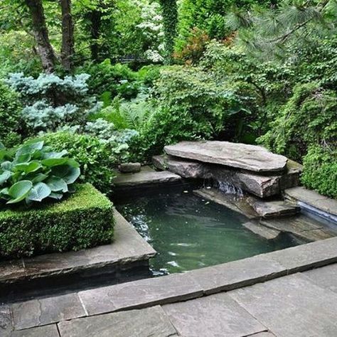 Modern pond design idea. Square pond with a natural stone waterfall. . . . #pond #landscape #ponddesign #landscapedesign #pondwaterfall #watergarden #watergardens #watergardening #koifishpond #backyardproject #watergardening #backyardproject #fountainideas #waterfalldesign #waterfeature #backyardwaterfall #pondlandscape #pondlamdscaper #greengarden #greenzen #pondlife #relax #tranquility #peaceful #homeinspiration #peacefulplace #zen #zenpond Pond Landscape, Taman Air, Small Water Features, Small Pond, Garden Ponds, Pond Landscaping, Pond Ideas, Pond Design, Water Features In The Garden