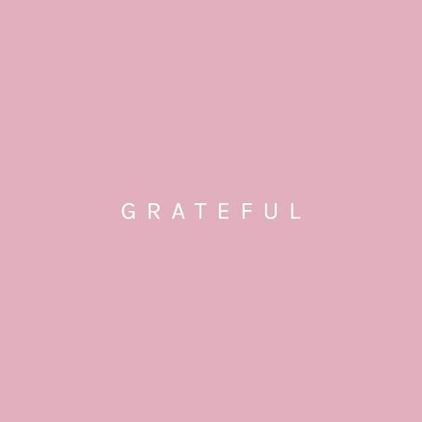 So much to be grateful for | #gratitude #love #hope #happyness Soft Pink Quotes, Graphic Designer Ideas, 7 Plus Wallpaper, Iphone 7 Plus Wallpaper, Calligraphy Doodles, The Garden Of Words, Garden Of Words, Phrases And Sentences, Kodak Moment