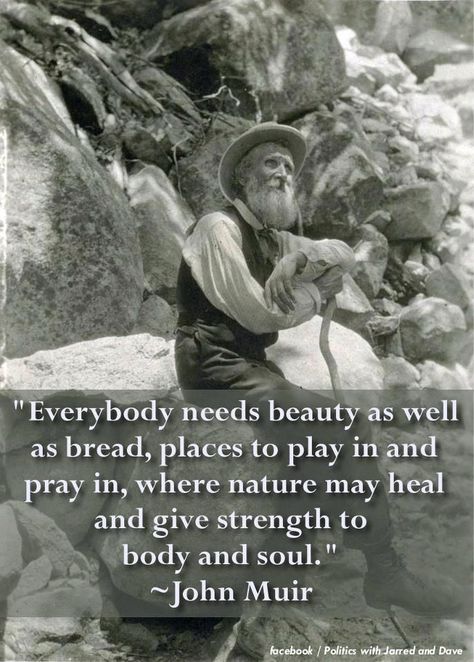 John Muir. We were meant to be creative, to enjoy life...as well as to work hard and give our best. John Muir Quotes Nature, Blackboard Quotes, Park Quotes, John Muir Quotes, John Muir Trail, Quotes Nature, Hiking Quotes, Sleeping Under The Stars, Outdoor Quotes