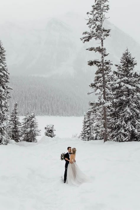 Lake Louise Winter, Winter Wedding Snow, Wolf Wedding, Lake Louise Wedding, Winter Mountain Wedding, Willow Wolf, Banff Elopement, Fairmont Chateau Lake Louise, Snowy Wedding