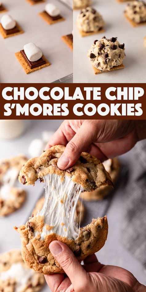 Chips A Hoy Cookies Dessert Recipes, Desert Snack Ideas, Deserts To Bring To A Potluck, S’mores Chocolate Cookie, Homemade Smores Cookies, Party Snacks Dessert, Chocolate Chip Cookie S’mores Recipe, Chocolate Chip Smores Bars, Chocolate Chip Cookies Smores