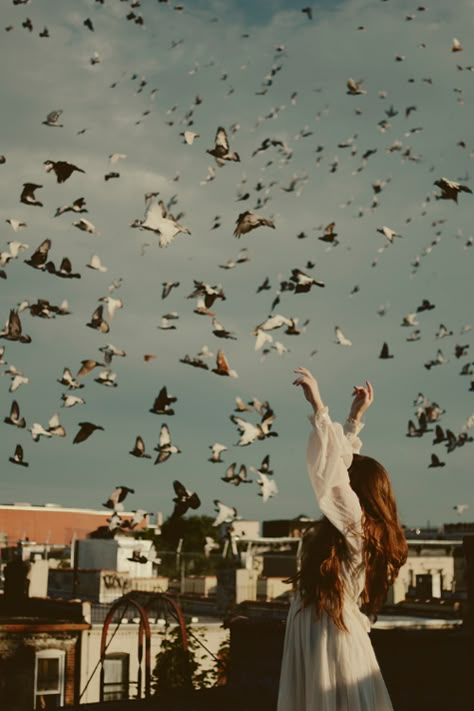 Flock Of Birds, Birds Flying, A Woman, Birds