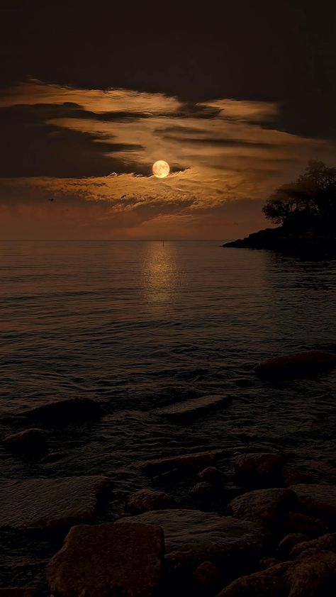 lovethenature95 on Instagram Night Scenery Aesthetic, Nature Profile Pictures, Profile Picture Nature, Aesthetic Nature Pics, Profile Pictures For Instagram, Peaceful Pictures, Luna Aesthetic, Peaceful Aesthetic, Beautiful Moon Pictures