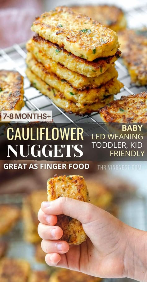 Cauliflower Nuggets Baby Finger Food (BLW) | ThrivingNest Blw Recipes On The Go, Infant Food Ideas Introducing Solids, Fun Fried Foods, Fpies Friendly Recipes, What Would You Like To See More Of, Weening Food Ideas, Blw Recipes Meal Prep, Solid Starts Recipe, Blw Dinner Recipes