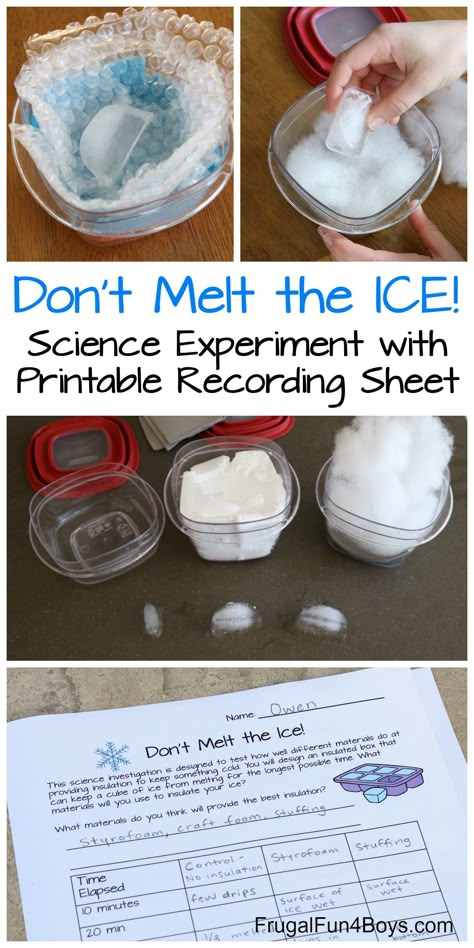 Don’t Melt the Ice! Science Experiment for Kids - Fun way to learn about insulation and how heat is transferred. Science Experiments Kids Elementary, Science Experiment For Kids, Winter Science, Experiment For Kids, Science Club, 6th Grade Science, Kid Experiments, Science Activities For Kids, Kindergarten Science