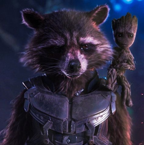 Rocket and Groot, Guardians of the Galaxy Rocket From Guardians Of The Galaxy, Guardians Of The Galaxy Vol 3 Rocket, Garden Of The Galaxy, Guardians Of The Galaxy Icons, Rocket Guardians Of The Galaxy, Rocket Raccoon And Groot, Groot And Rocket, Gardens Of The Galaxy, Groot Guardians Of The Galaxy