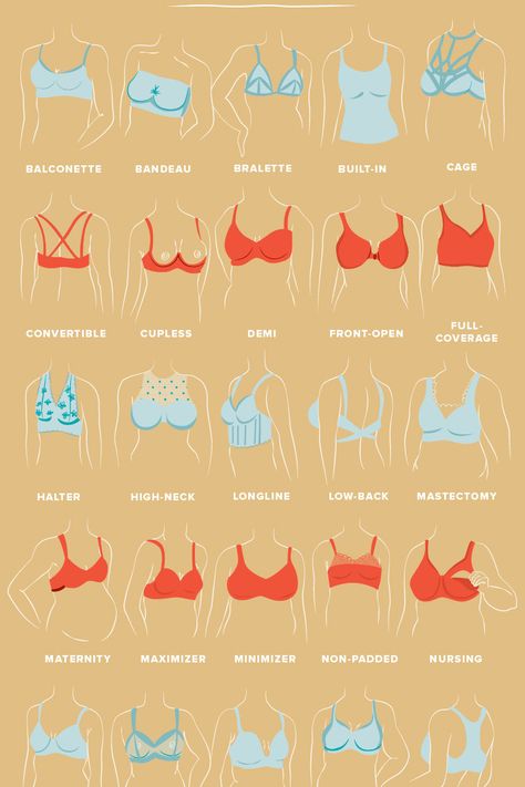 Fashion Terminology, Type Chart, Best Bra, Beach Necessities, High Neck Bra, Fashion Dictionary, Fashion Terms, Coverage Bras, Convertible Bra