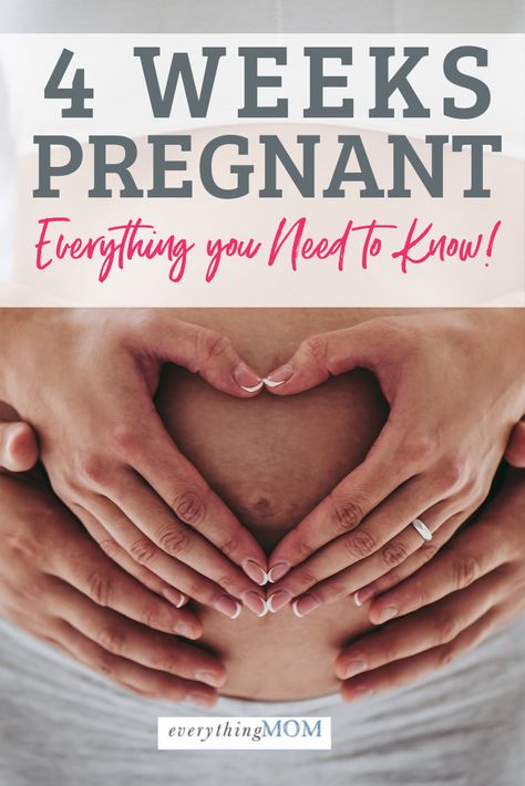 Believe it or not, you are 4 weeks pregnant, or one month into your ten-month pregnancy.You might believe it at the end of this week when your period is suspiciously absent.Or you might be running about in the throes of daily life and not noticing a thing.Perhaps your menstrual cycles are longer than average or irregular. 4weeks Pregnant, One Month Pregnant, 4 Weeks Pregnant, Early Pregnancy Test, 17 Weeks Pregnant, 11 Weeks Pregnant, 13 Weeks Pregnant, First Trimester Tips, 22 Weeks Pregnant