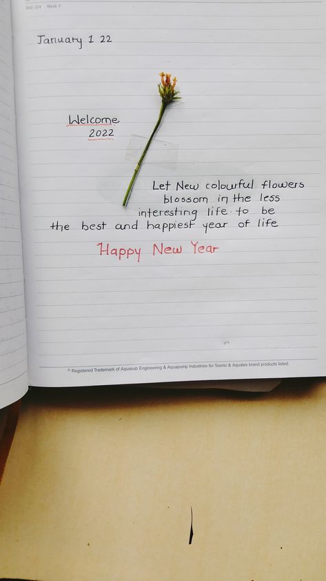 Personal Diary Decor Ideas, Writing Dairy Ideas, New Year Diary Writing, Ruled Diary Ideas, New Year Diary Ideas 2024, Quotes For Personal Diary, Quotes For Diary Writing, New Year Dairy Ideas, Diary Writing Quotes