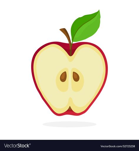 Healthy Vegetarian Food, Half Apple, Apple Clip Art, Apple Illustration, Paper Fruit, Apple Cut, Apple Vector, Baby Keepsakes, Food Projects