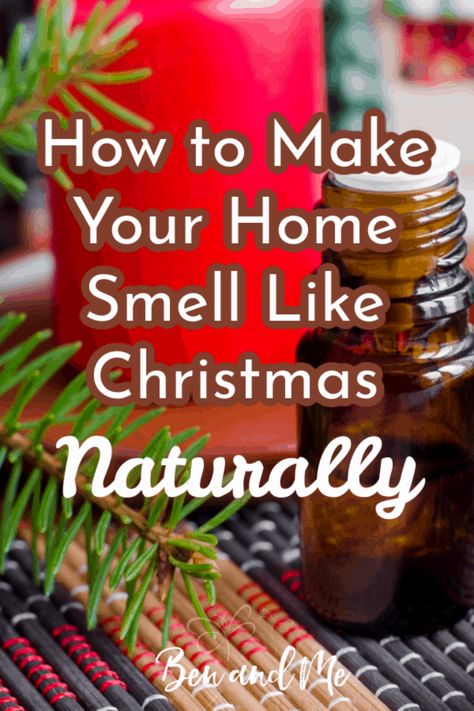 Home Smell Like Christmas, House Smell Like Christmas, Smell Of Christmas, Smell Like Christmas, Simmer Pot Recipes, Stove Top Potpourri, Simmering Potpourri, Potpourri Recipes, Christmas Smell