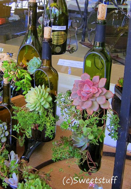 Succulents In Glass, Wine Bottle Planter, Wine Bottle Ideas, Bottle Diy Crafts, Succulent Planter Diy, Glass Bottle Diy, Wine Craft, Wine Bottle Art, Wine Bottle Diy Crafts