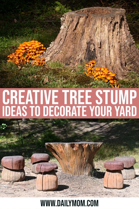 Tree Stump Ideas Outdoor Front Yard, Tree Trunk Ideas Outdoor, Tree Stump Ideas Outdoor, Tree Trunk Ideas, Tree Stump Ideas, Short Trees, Tree Stump Planter, Stump Ideas, Concrete Bird Bath