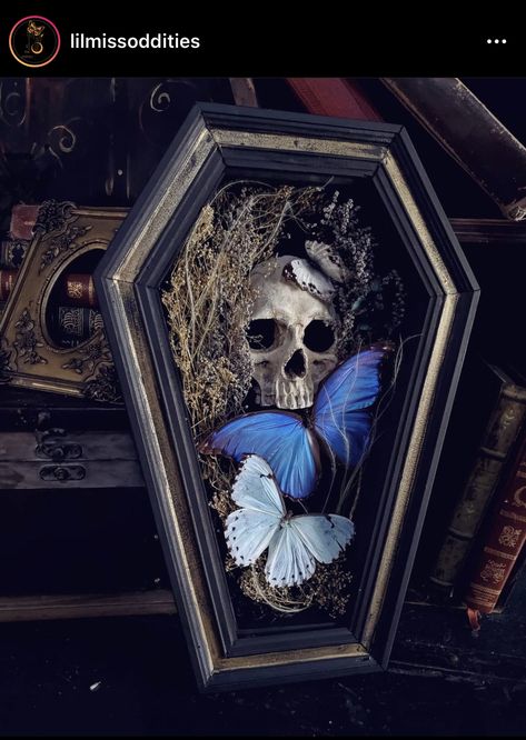 Creepy Shadow Box Ideas, Gothic Shadow Box Ideas, Oddities Crafts, Gothic Tiny House, Emo Decor, Gothic Diy, Coffin Decor, Gothic Noir, Apothecary Decor