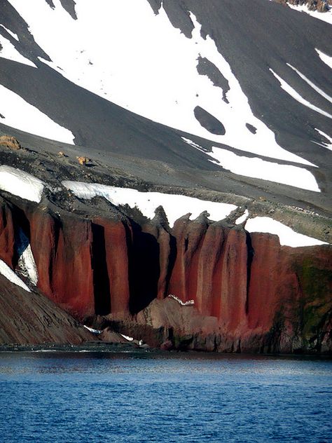 Antarctica. fantastic color pallet Deception Island, Antarctica Travel, Places Photography, Falkland Islands, Winter Landscapes, South Georgia, Wild Nature, Once In A Lifetime, Nature Images