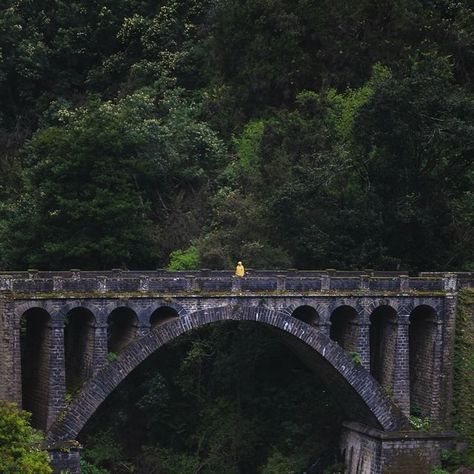 𝐀𝐝𝐚𝐦 𝐉𝐚𝐬𝐨𝐧 𝐉𝐚𝐲 | Old stone bridge Madeira 🍃

Ponte da Ribeira da Metade also known as a ‘Ponte Velha’, is a bridge in Madeira that attracts people ... | Instagram Bridge Reference, Medieval Bridge, Jungle Ruins, Worldbuilding Ideas, Floating Bridge, Zoo Inspiration, Old Bridges, Metal Bridge, Bridge Painting