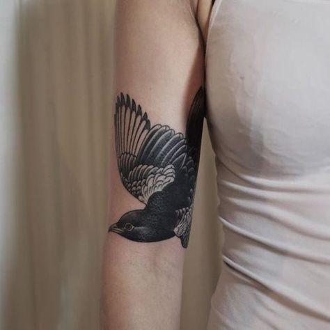 Victor J Webster | 1337tattoos | Bloglovin’ Pigeon Tattoo, Vogel Tattoo, Black Bird Tattoo, Blackout Tattoo, Intricate Tattoo, Raven Tattoo, Bird Tattoo, Tattoo Project, Dream Tattoos