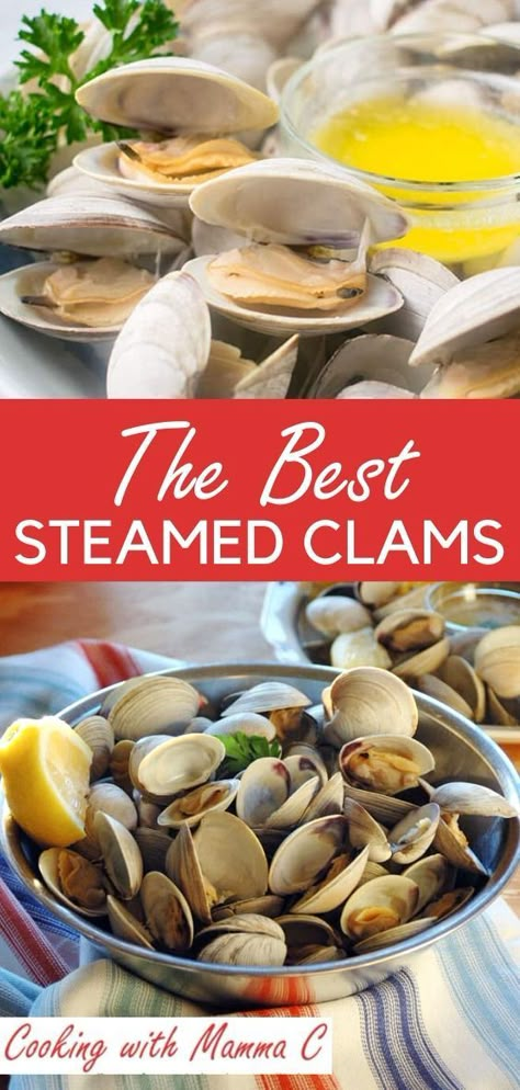 Instant Pot Steamed Clams, Steamed Clams Recipe Garlic, Cooking Clams Recipes, Beer Steamed Clams, Butter Clams Recipes, How To Cook Steamers Clams, How To Steam Clams On The Stove, Steam Clams Recipe, How To Cook Clams In Shell