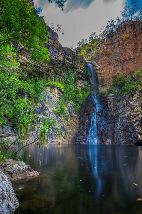 Litchfield National Park Litchfield National Park, Australian Landscapes, Australia Bucket List, Australia Trip, Australian Photography, Flight Centre, Road Trip Places, National Park Photos, Nature Conservation