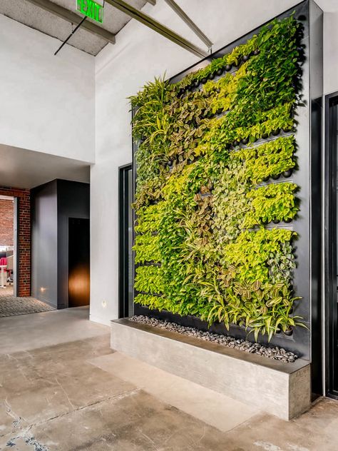 Office | Plants | Interior | Inspiration | Vertical garden | Green wall House Herb Garden, Herb Garden Designs, Planting Bulbs In Spring, Green Plant Wall, Living Green Walls, Green Wall Design, Architecture Concept Model, Gardening Pots, When To Plant Vegetables