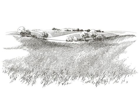 Perspective Architecture, Grass Drawing, Green Grass Field, Landscape Panorama, Crop Field, Landscape Design Drawings, Grass Painting, Nature Sketch, Scenery Landscape