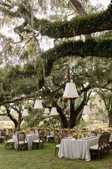 Wedding Venues Backyard, Outside Wedding Party, Old House Wedding Venues, Bridal Party Themes Color Schemes, Fall Charleston Wedding, 30a Wedding Venues, Australian Wedding Venues, Outdoor Southern Wedding, Country Side Weddings